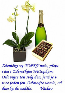 orchidej_vino[1].jpg